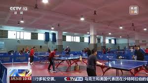 2026世界杯官网入口 迈向绿色时代！庭院别墅草坪绿化工程重塑城市人居环境！